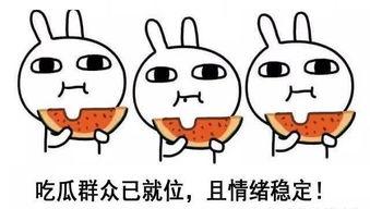 娱乐吃瓜酱晚安蠢蛋,揭秘娱乐圈的甜蜜与苦涩